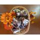 BARRAS DE CHOCOLATE 200g COM FRUTAS 